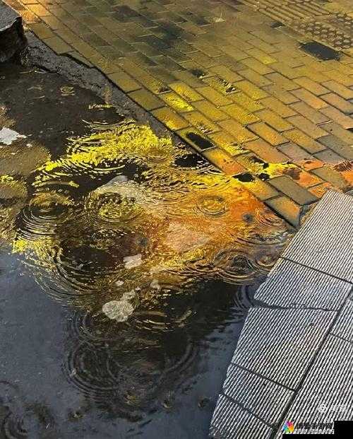 ツユやっぱり雨は降るんだね 倾听雨中的心声与思绪