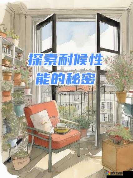 免费夜里 18 款禁用：探索其背后的秘密与影响