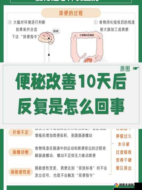 便秘突然好了,原来是因为吃了它