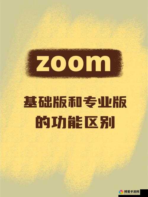ZOOM 与人性 ZOOMSK：探索数字时代的社交变革与人性挑战
