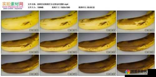 1024 香蕉视频:精彩无限的视频资源宝库