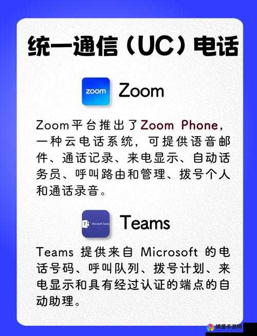 国内 Zoom 人与 Zoom ：探索其在数字化沟通中的角色与价值
