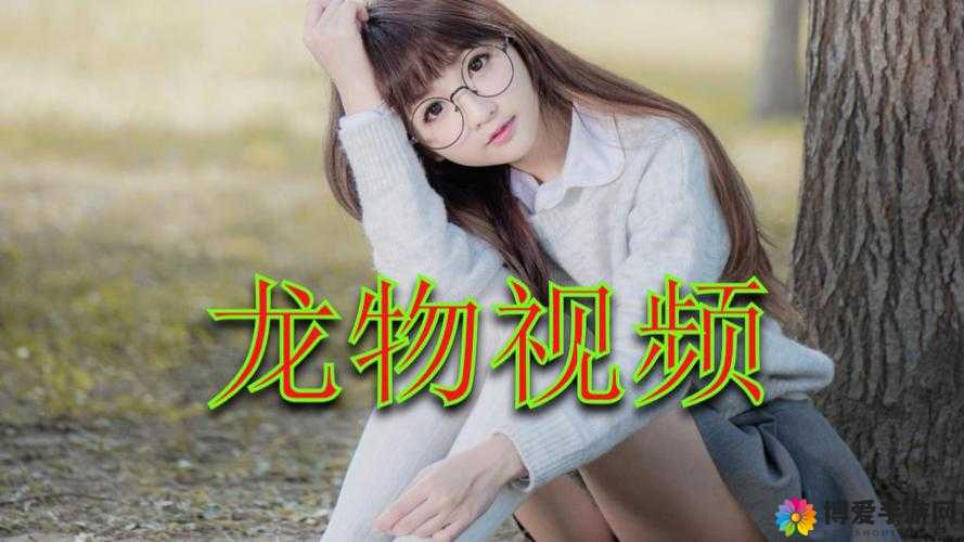 yw193 龙物：独特视角下的神秘之物探索