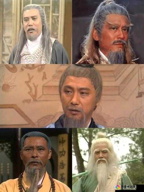 东邪西蝳修炼系统，探寻武学巅峰的奥秘