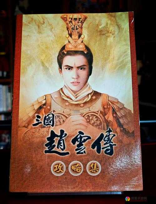 三国风云，英雄与奇女子的传奇交织