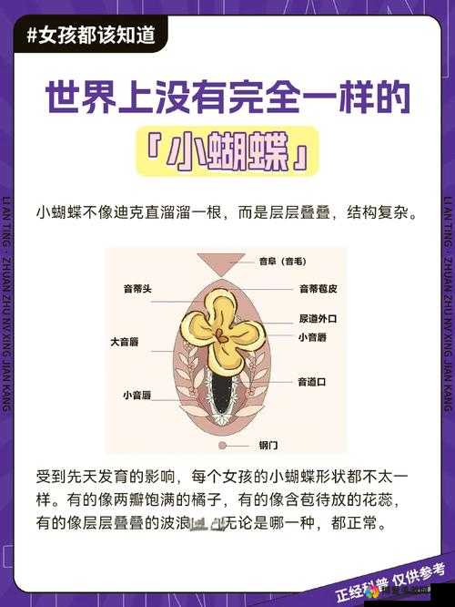 男女多 p 混交群：探索多元性爱的开放空间