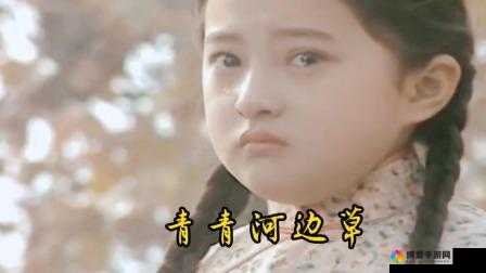 青青河边草免费视频大全：海量精彩视频等你来欣赏
