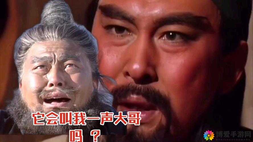 我大哥叫刘备属性淬炼上线与武魂馆开放,资源管理新篇章