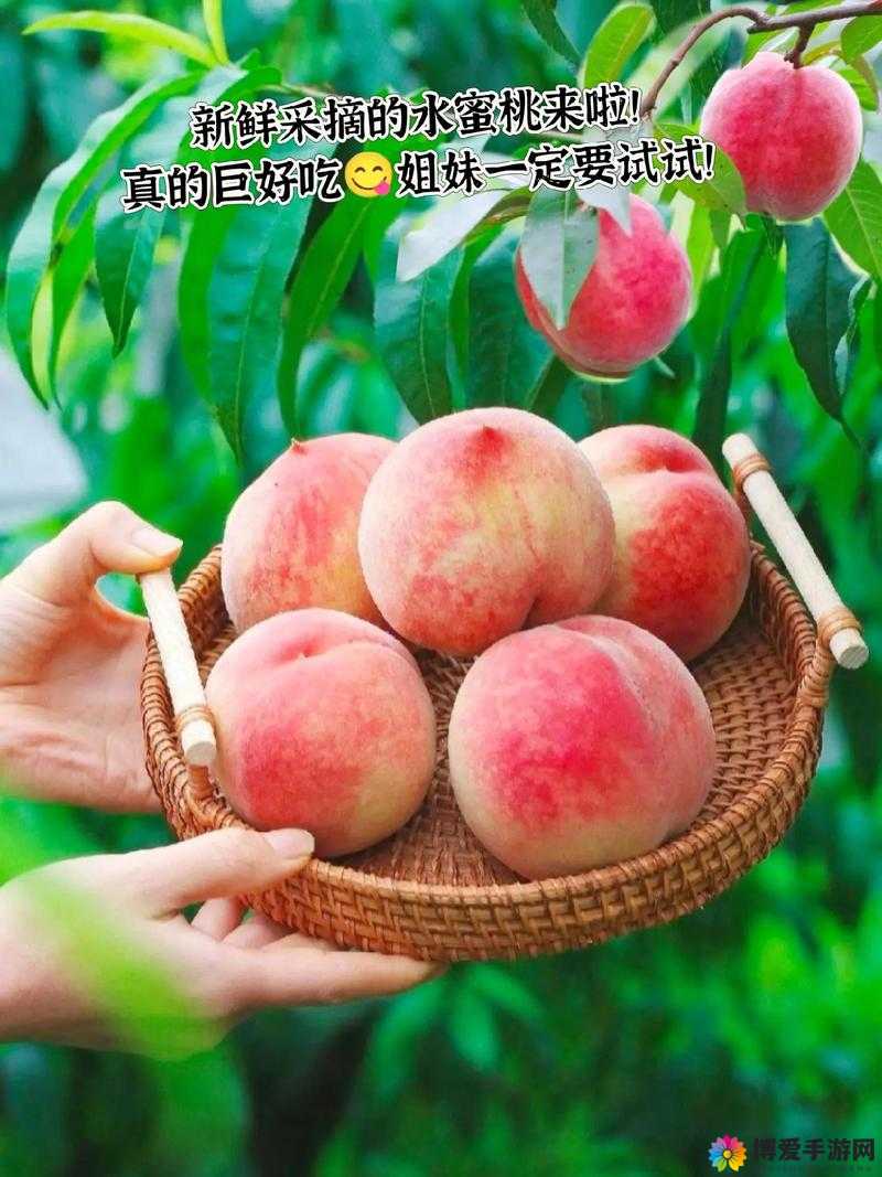 水蜜桃一品二品：甜蜜多汁的美味水果等你来品尝