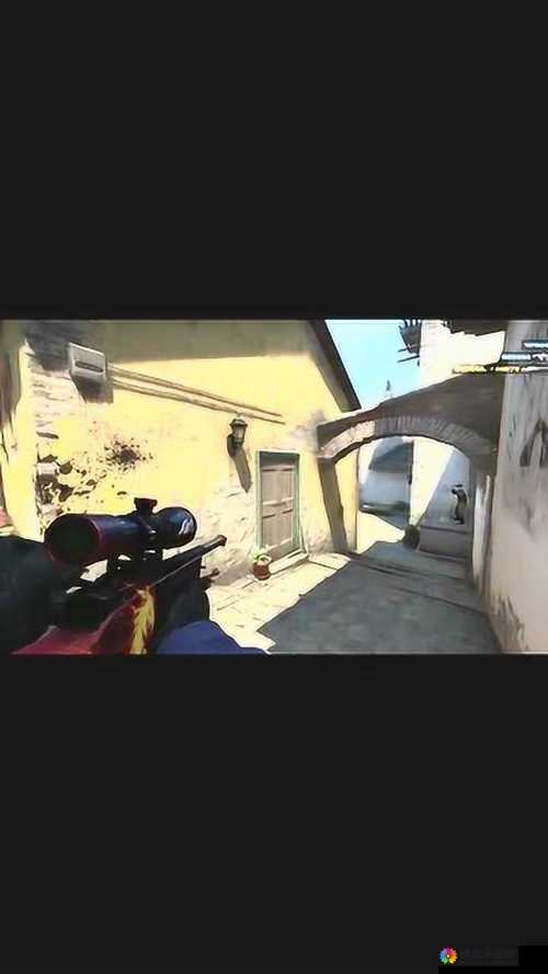 黑色大姐姐 csgo：狙神之路，电竞女神的传奇故事