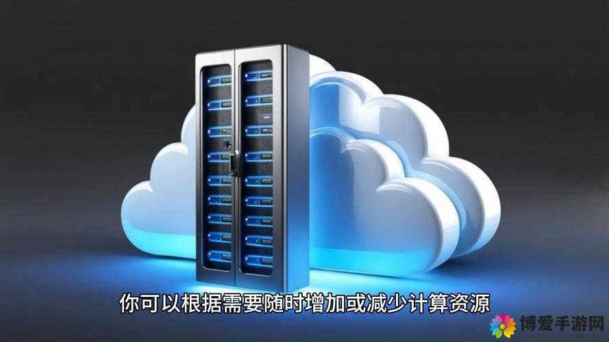 老奶奶VPSWindows：一款独特的虚拟专用服务器系统