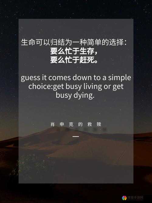 选择困难症患者的救赎,我们的传奇三大职业深度剖析