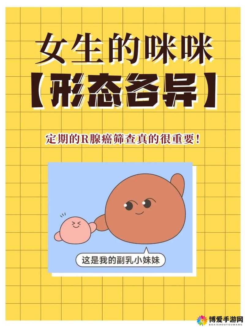 关于 www 逼逼 的相关探讨与分析