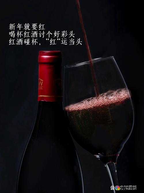 红酒装不下了 1V2 的解决方案-如何解决红酒装不下的问题及应对策略