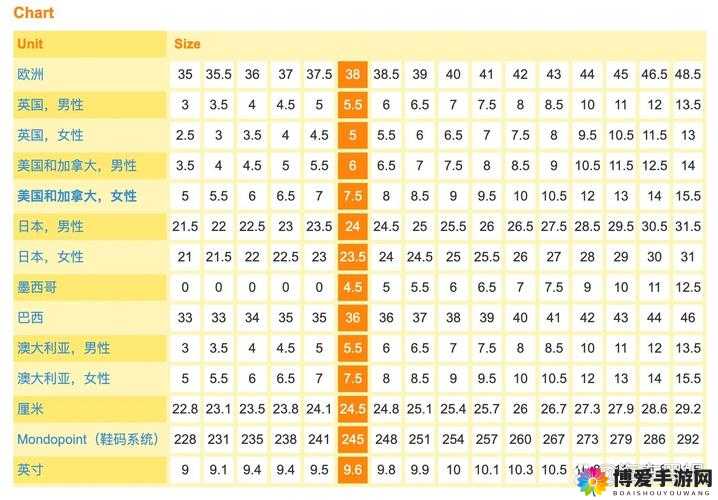 欧亚尺码专线欧洲 B1B1 ：探索欧洲时尚尺码的独特魅力之旅