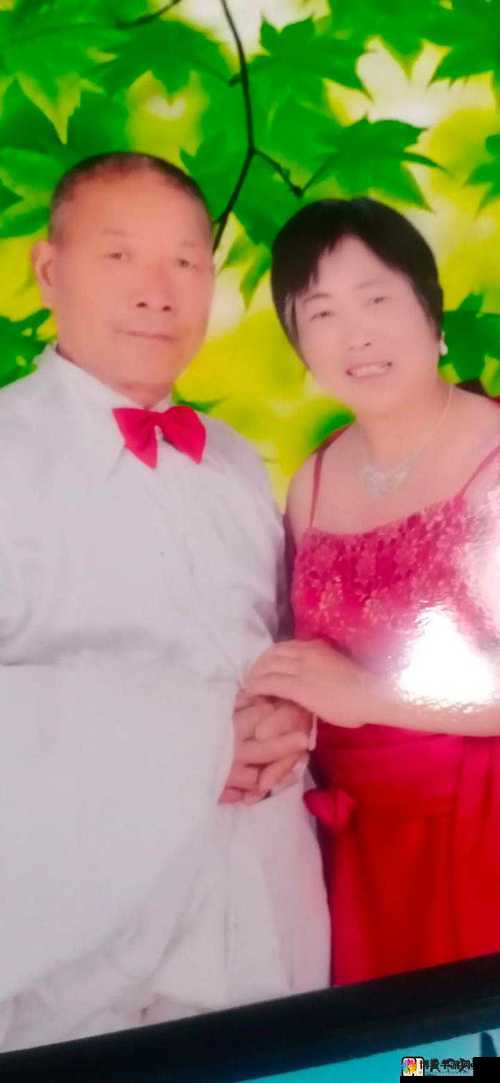 老刘头的幸福晚年张倩倩的故事背景和人物发展如何之深度解析