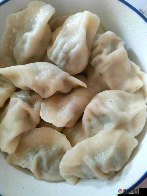 课后辅导 po 肉馅小水饺：趣味美食与学习的奇妙交融