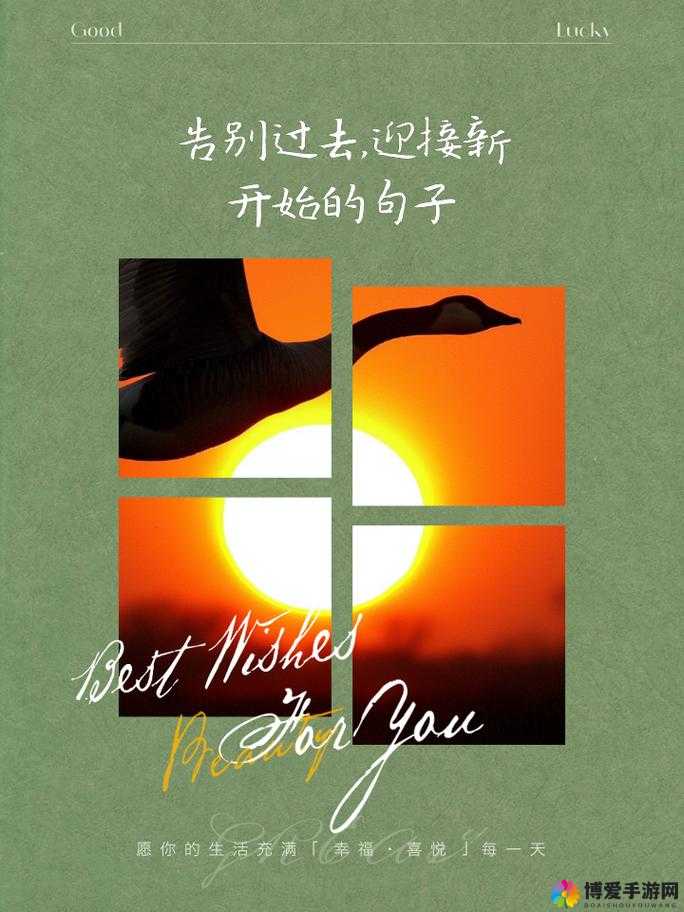 告别旧版:开启全新篇章 迎接新版:共赴璀璨未来