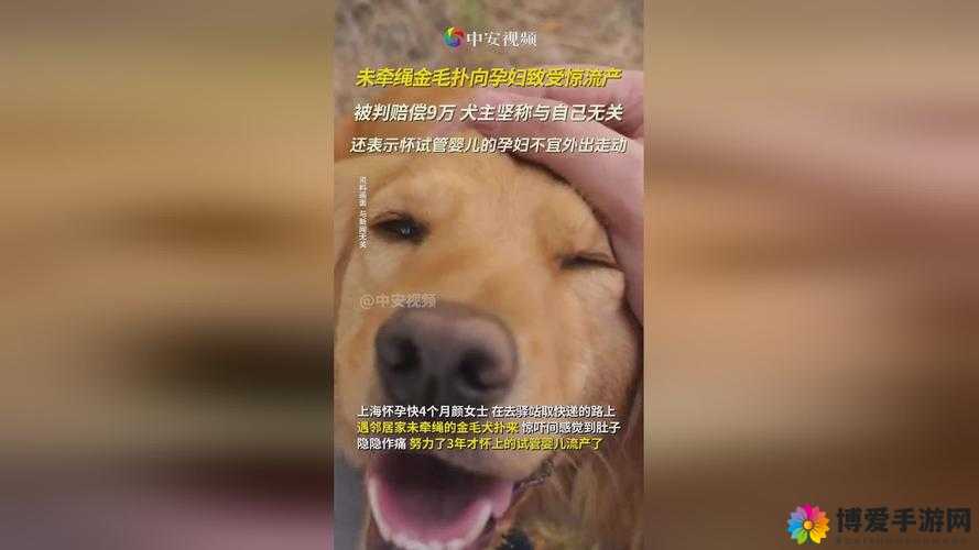 17c15.cm 换哪了：探寻其背后的神秘迁移路径