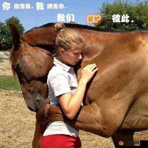 人物与动物交互：跨越物种的温暖陪伴与情感交融