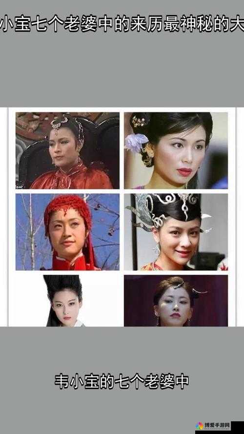 鹿鼎记中韦小宝的老婆之一，武功最高的苏荃