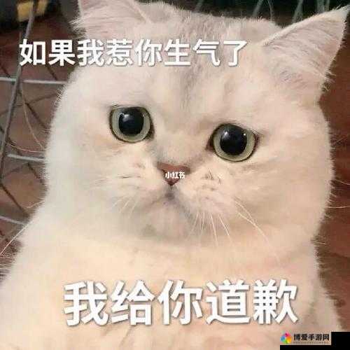 啊啊啊你 tm 别舔了：再舔我可要生气啦