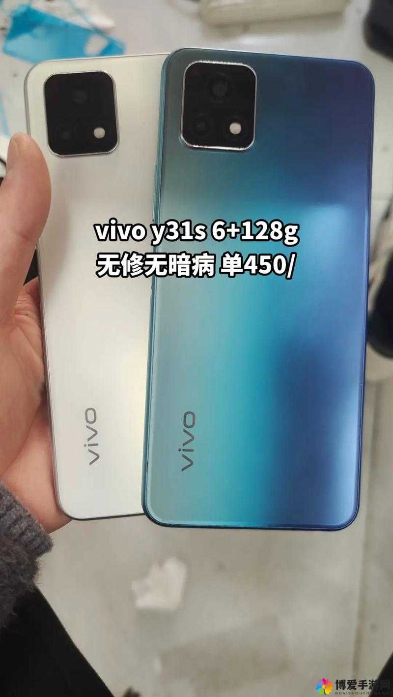 探寻成色好的Y31S标准版下载自每日视频后热度暴涨-其背后原因令人深思