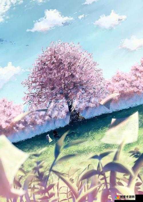 樱花动漫：不止是动漫，更是一种热爱