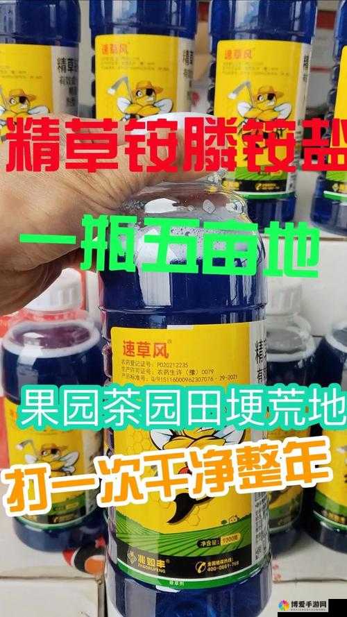 国精产品 WNW2544A：一款极具特色和优势的优质产品