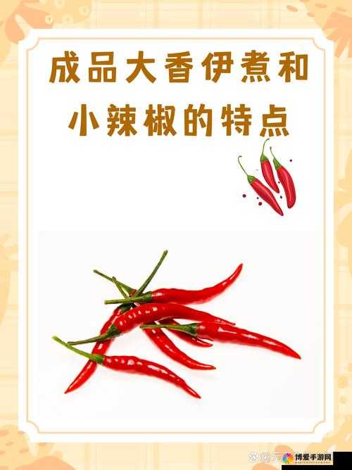 成品大香伊煮和小辣椒的烹饪用途及食用方法探讨