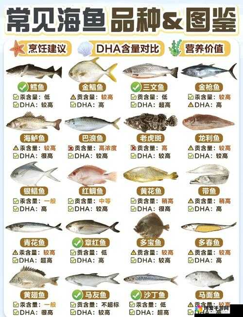 七彩鱼国内国外免费:带你探索神奇的鱼类世界