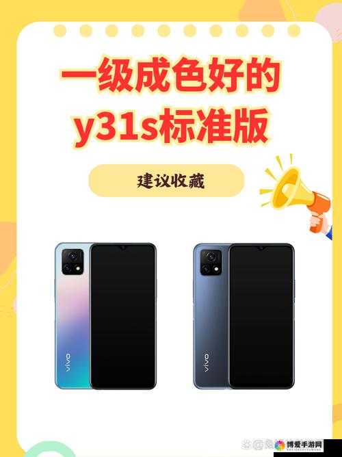 成色好的 y31s 标准：品质之选，超越期待