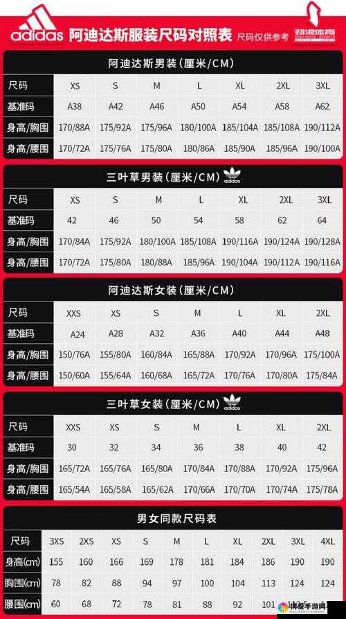 三叶草 M 码和欧洲码区别:尺码差异与选购要点解析