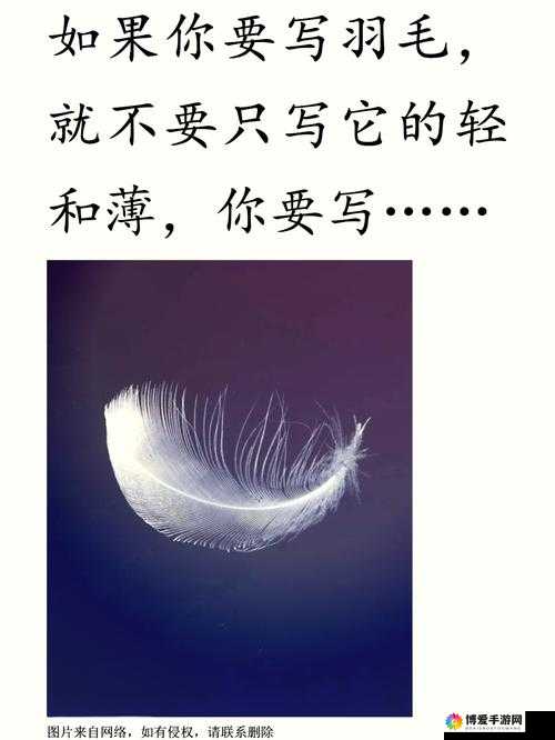 另一类 Z00M 与人性 Z00M：探索其背后的深层意义与影响