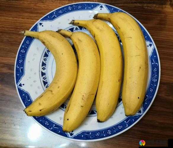 向日葵草莓香蕉榴莲鸭脖大全之缤纷美食大赏