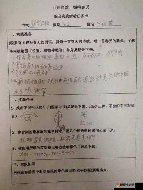 开始慢慢迎迎合：开启一段全新的探索与成长之旅