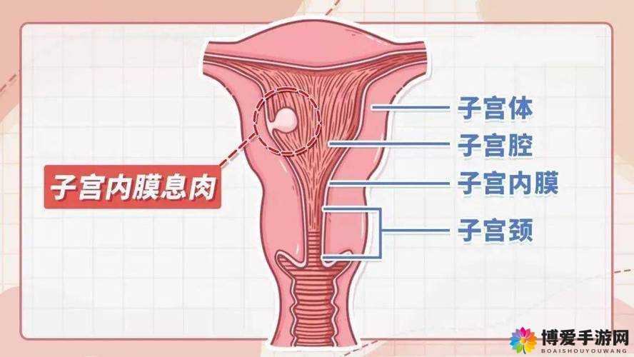 大蘑菇进入子宫的 10 个常见原因分析及探讨