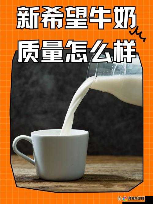 MR1242 国产吗：国产替代的新希望