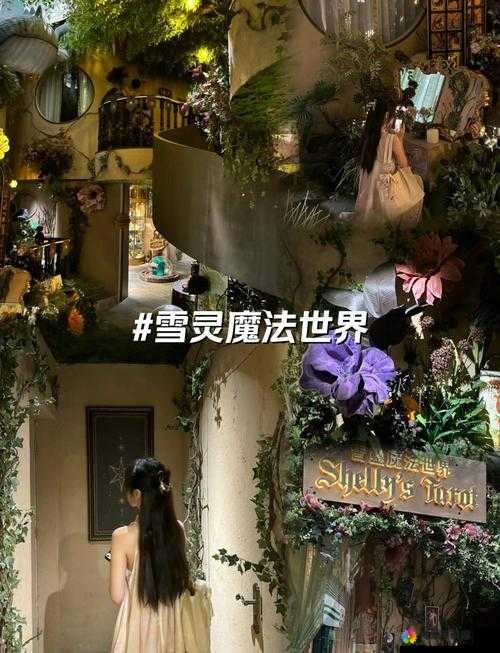 大手往哪秘密花园探去：探寻那神秘之地的奇妙之旅