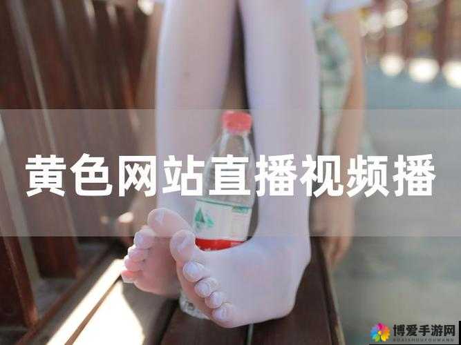 探索精彩璜铯视频网站在线观看全新体验