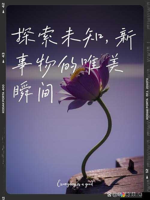 一个一级：探索未知世界的奇妙起点与无限可能