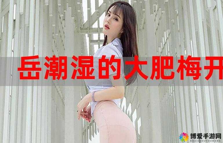 黑黑的肥岳：肥胖与的争议话题