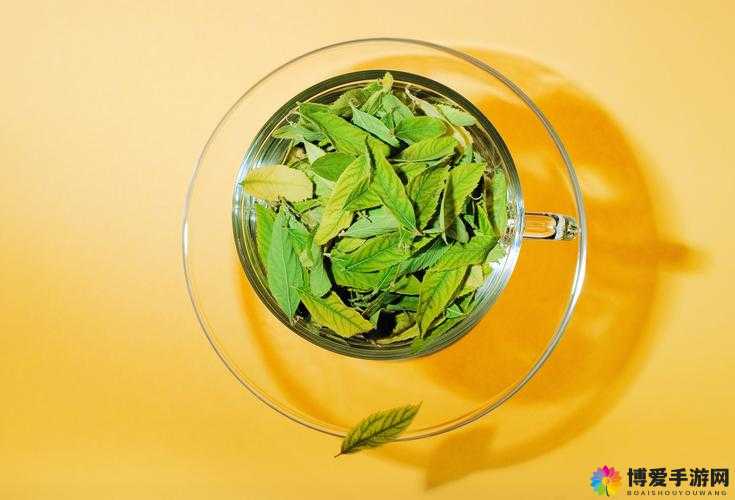 榨汁精灵的繁衍条件新发现：深度探究其背后的神秘机制
