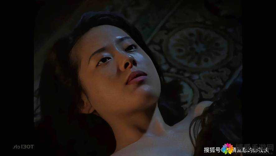中国一级髦片视频：挑战伦理道德的内容