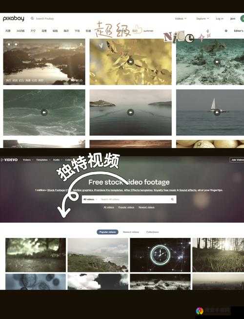 一个人看的WWW视频资源：丰富多样的视频宝库等你来探索
