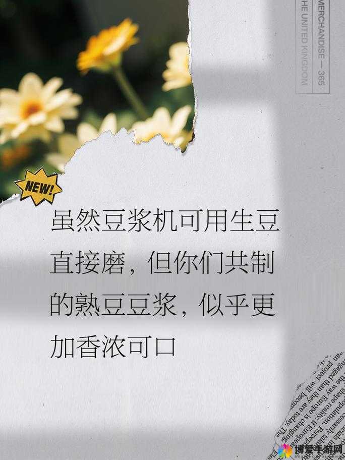 男女一起努力做豆浆：共同创造美味生活的浪漫之旅