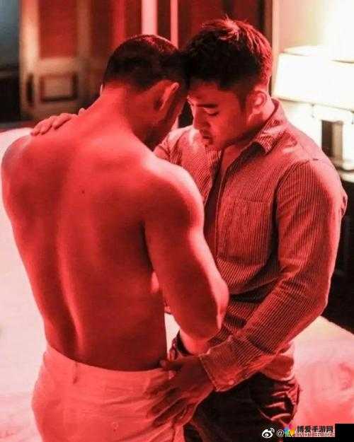 男男同志 18 视频在中国的独特现象与探讨