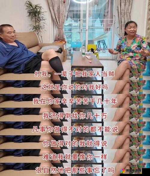 国产内射老阿姨 AAAA：一个被遗忘的故事