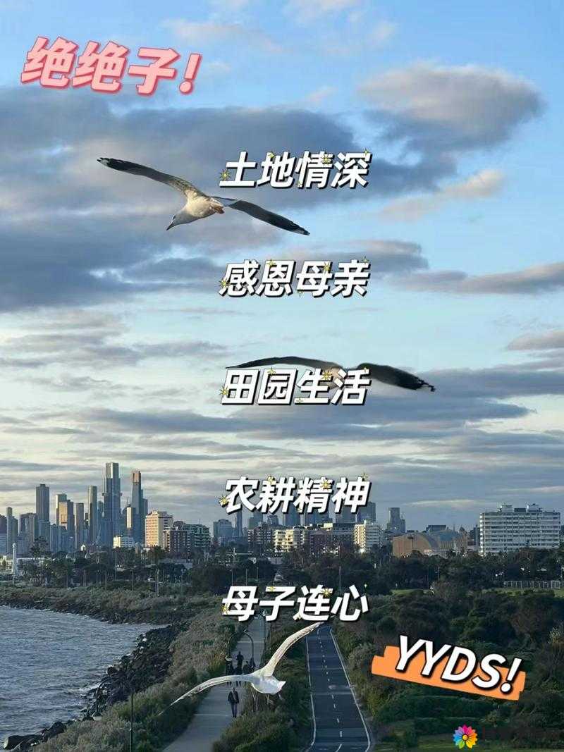 儿子耕种母亲的田地的寓意视频：传承与感恩的温暖篇章