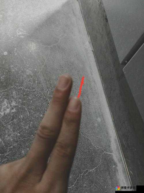 二指探洞手势图片教程：让你轻松掌握的私密技巧